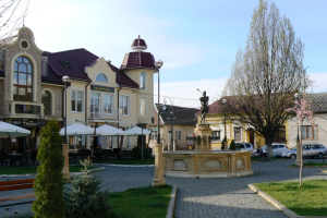 Виноградів, центр міста